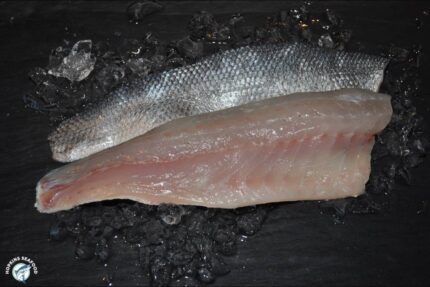 Fresh Bronzino Fillets