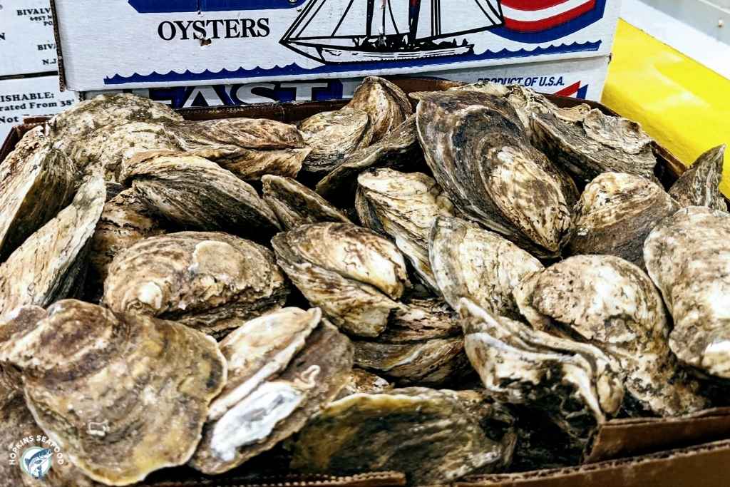 Delaware Bay Oysters