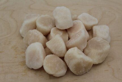 IQF Whole Sea Scallops – 5 Lbs. Bag