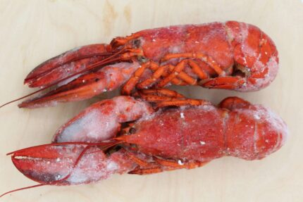 Frozen 14-16 Oz. Whole Lobster – Cooked – 10 Lbs. Case