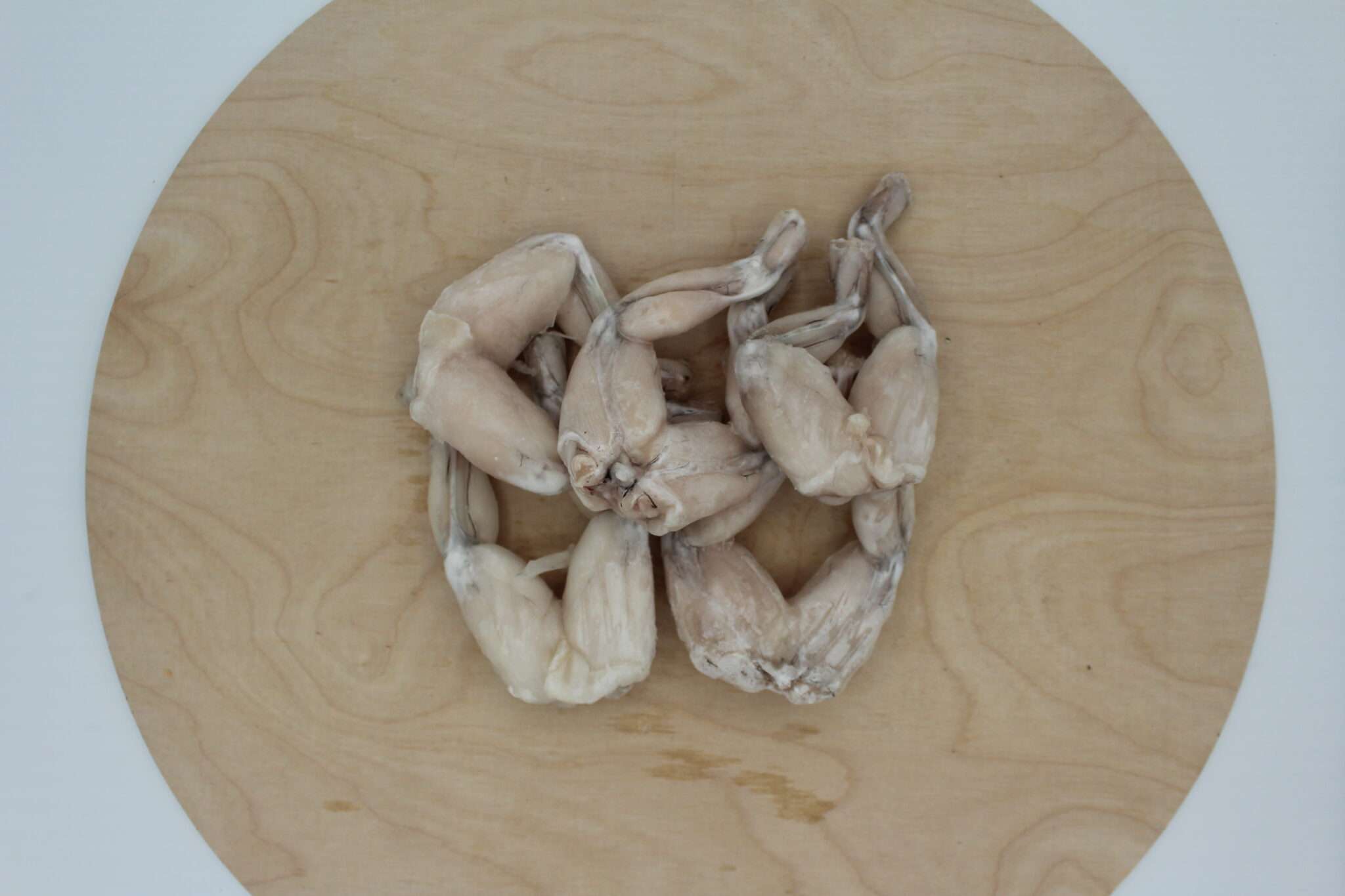 Frozen Frog Legs (4/6) - 5 Lbs. Case