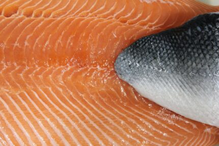 Fresh Norwegian Atlantic Salmon Fillets