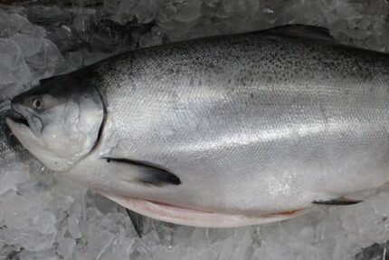 Fresh Whole King Salmon – Farm-Raised (~10 Lbs.)