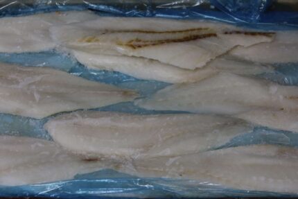 Frozen Orange Roughy Fillets (8+ Oz.) – 22.05 Lbs. Case