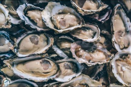 Fresh Long Island Oysters On 1/2 Shell – 100 Ct.