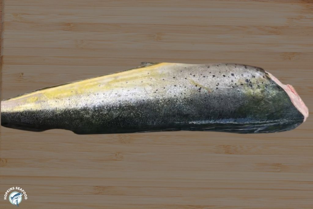 Mahi Mahi Headless and Gutted