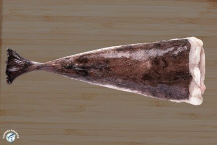 Fresh Whole Monkfish – Headless and Gutted