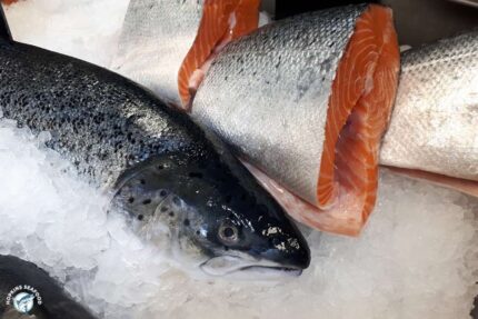 Fresh Whole Canadian Atlantic Salmon