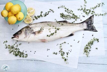Fresh, Whole Wild-Caught Rockfish (Striped Bass)