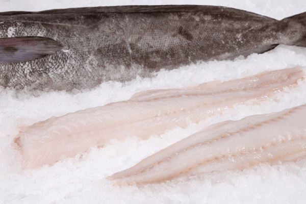 Hake Fillets