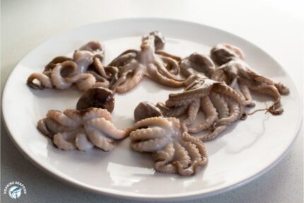 Frozen Baby Pulpo (16/25) – 24 Lbs. Case