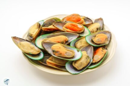 Frozen Green Shell Mussels – 2 Lbs. Box