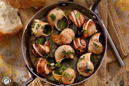 Frozen Escargot – 144 Ct. Case