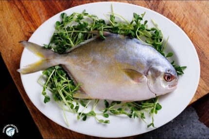 Frozen Whole Pompano (600-800 g) – 40 Lbs. Case