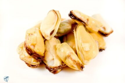 Frozen New Zealand Mussel Meat – 2.2 Lbs. / 1 Kg Case