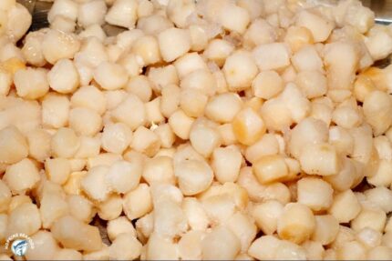 IQF Dry Bay Scallops (80/100) – 5 Lbs. Bag