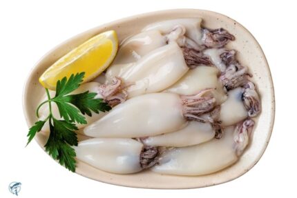 Frozen Squid / Calamari (5-8 inch) – Tubes and Tentacles – 2.5 Lbs. Tray