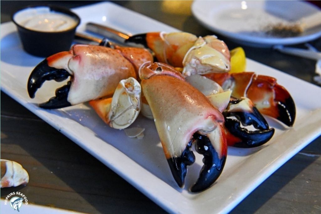 Fresh Florida Stone Crab Claws (Large 5/7) - 10 Lbs. Case
