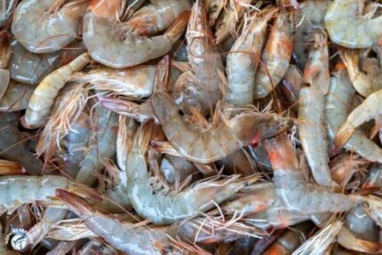 Frozen, Raw Head-On Farm Raised Shrimp – 4 Lbs. Case
